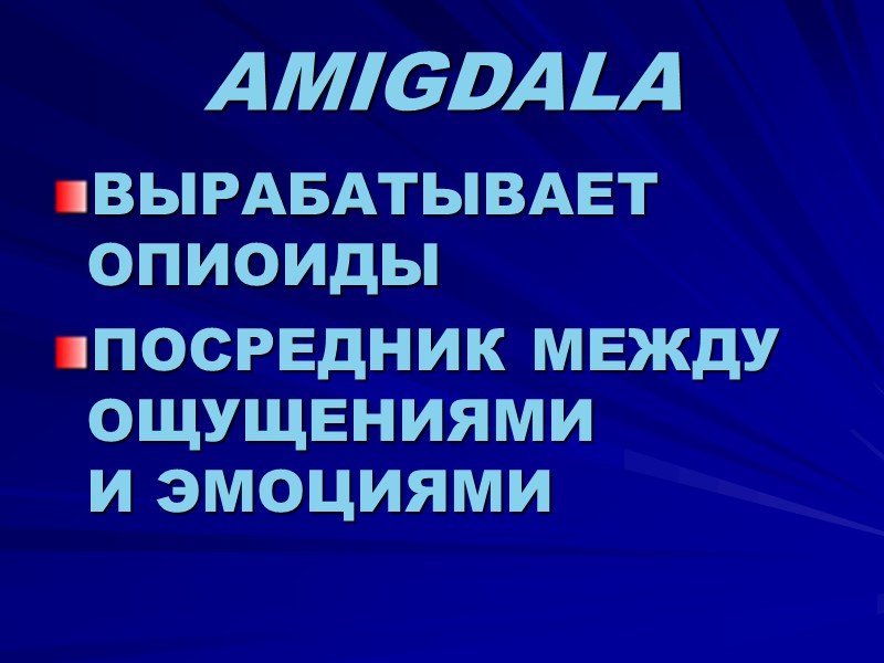 AMIGDALA  ВЫРАБАТЫВАЕТ ОПИОИДЫ ПОСРЕДНИК МЕЖДУ ОЩУЩЕНИЯМИ  И ЭМОЦИЯМИ